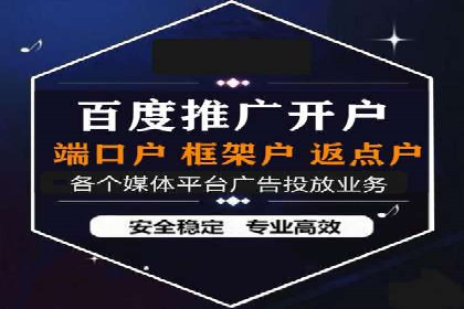 成功SEM推广代运营案例展示